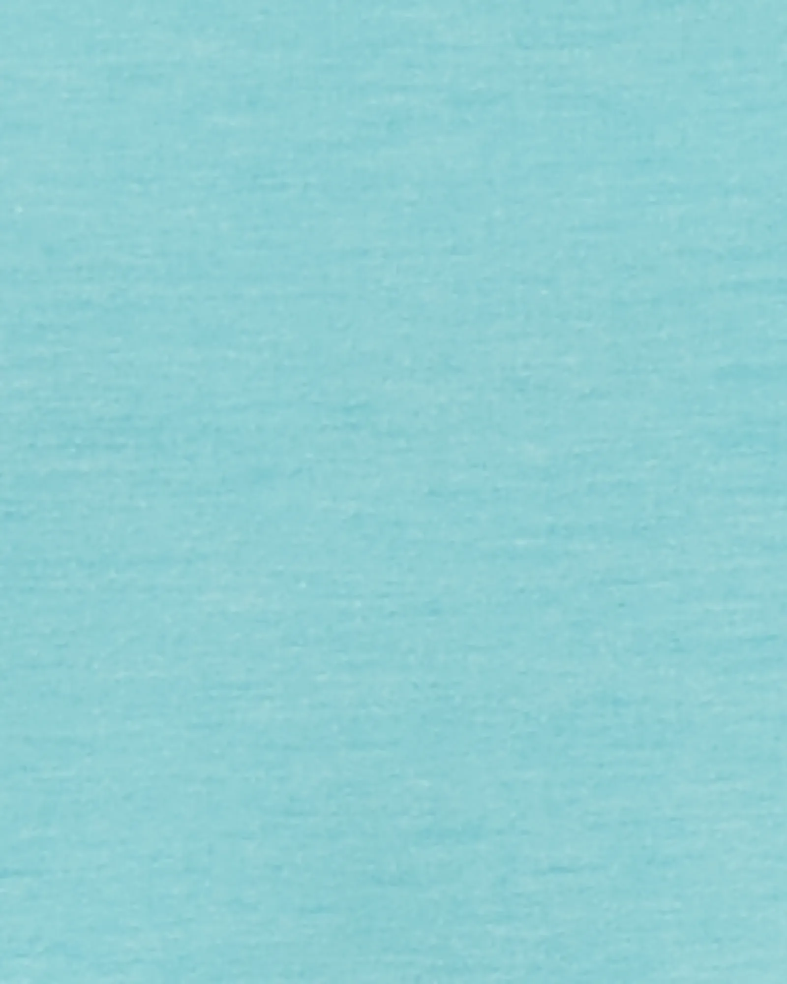 Olive Pullover with Back Details | Light Blue